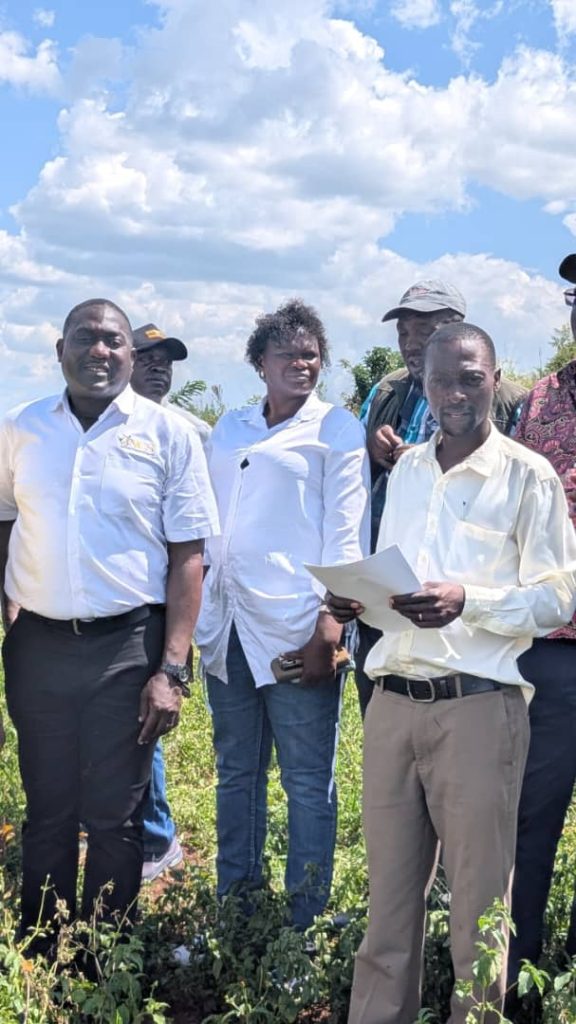 Sports Facilities: National Council of Sports to acquire 100 acres of land for training ground, sports academy